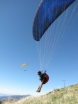 IMG_0345a.jpg