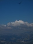 IMG_9293 (16 of 39).jpg