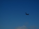 IMG_0380.jpg