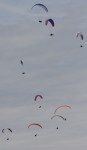 thermals 1.jpg