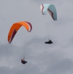 IMG_7539.jpg