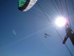 Soaring with Tony.jpg