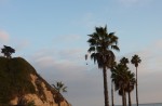 kev over beach.jpg