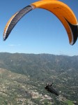 IMG_1163a.jpg