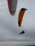 IMG_1273a.jpg