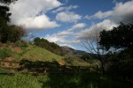 IMG_4965.JPG