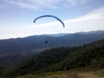 Marge flying away.jpg