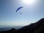 photo (7) (Medium).JPG