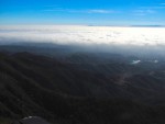 IMG_1476.jpg