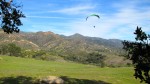 IMG_1595.jpg