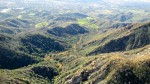 IMG_1624.jpg