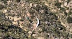 2021_04-18b_b_photo_of_paraglider_from_helicopter.jpeg (102.47 KiB) Viewed 16687 times 2021_04-18b_b_photo_of_paraglider_from_helicopter.jpeg