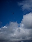 20110217_KCIMG_3768.jpg