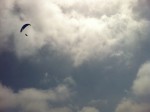 IMG_0560.JPG